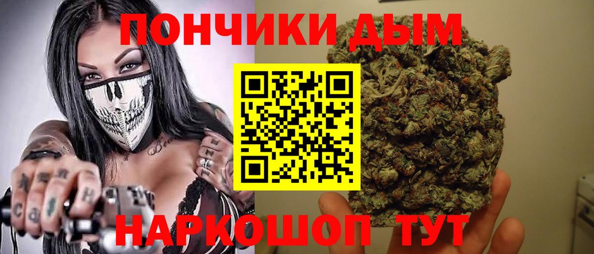 Каннабис сатива Кемерово